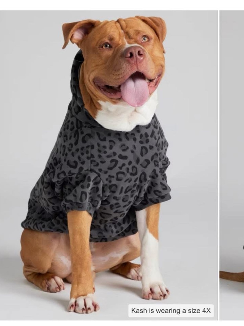 Comfort Colors Gray Leopard Print Dog Hoodie -